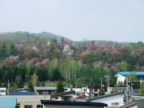 上川町市街地にある上川公園