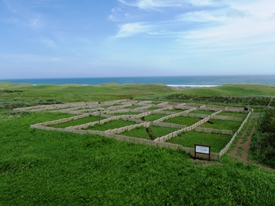 2013森と海のフェスティバルで植樹をしたクロマツ