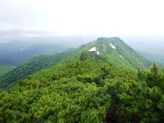 遠くに見えるライオン岩