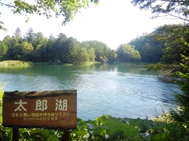 雄阿寒岳歩道沿線にある太郎湖です。