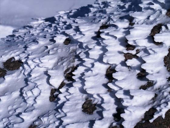 強風と低温で、雪が岩にへばりついています