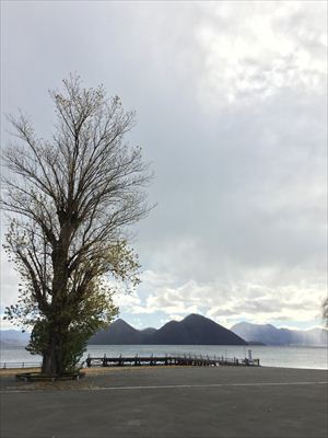 洞爺湖水の駅から　セイヨウハコヤナギ～中島～有珠山