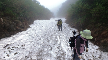 雪渓の残る谷沿い