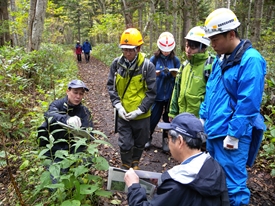 野外植物観察