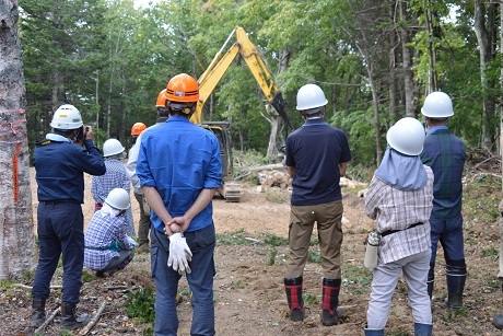 プロセッサーによる枝払い・玉切り作業