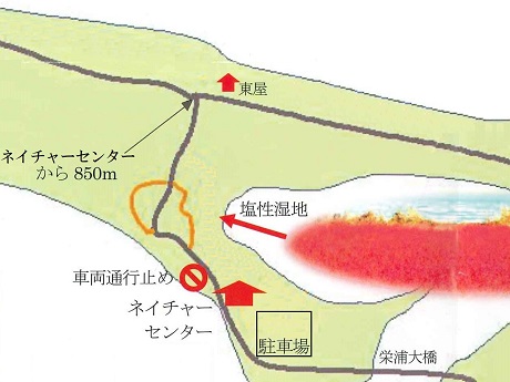 フィールドビンゴのコース図
