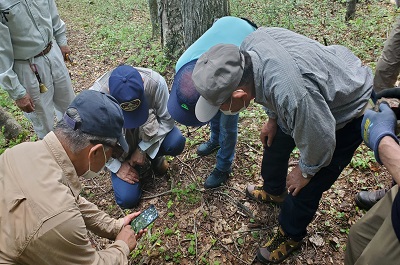 山野草の見分け方を説明