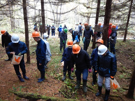 松ぼっくり収集の様子