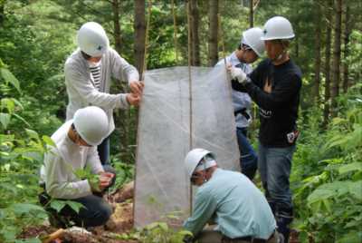 エゾシカ食害防止シート設置の様子