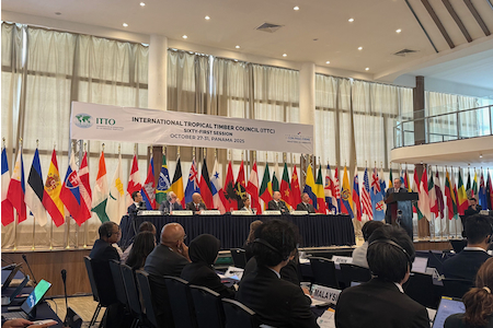 ITTO理事会開会式