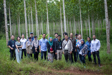 チーク植林地現地視察