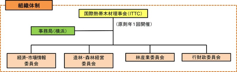 ITTO組織体制