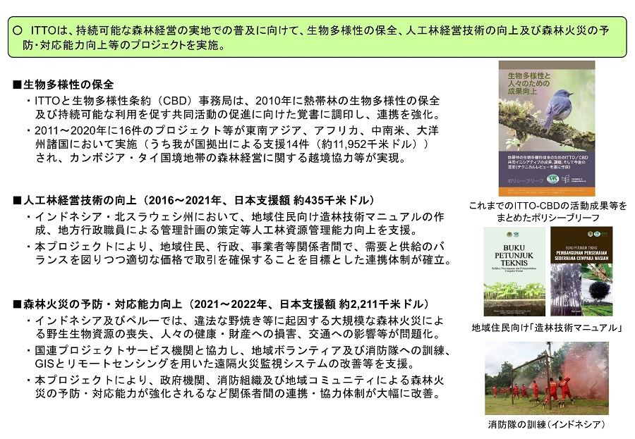 持続可能な森林経営の実施