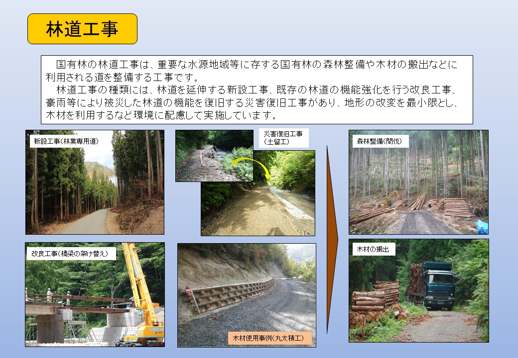 林道工事の概要