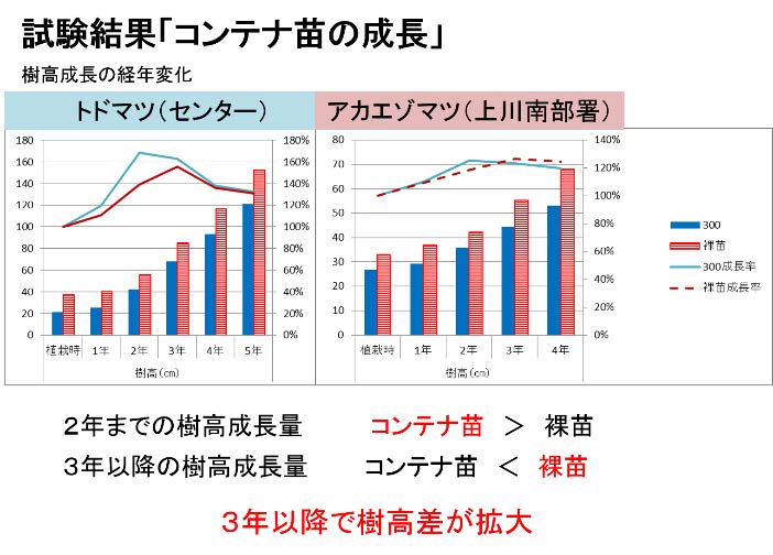 コンテナ苗の経年成長の状況