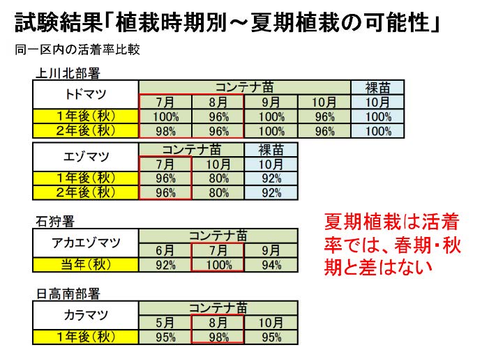 夏期植栽と春・秋植栽との活着率比率