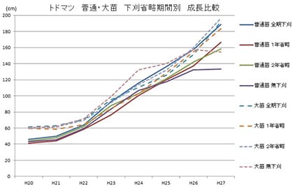 普通・大苗別下刈り省略期間別成長比較 (トドマツ)