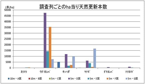 調査列別のhaあたり天然更新本数(平成25年度)