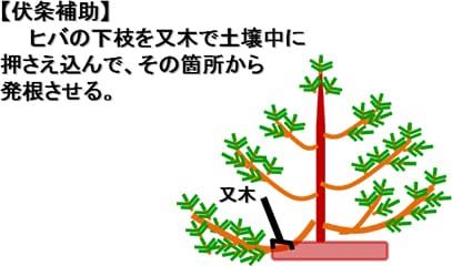 伏条補助のイメージ