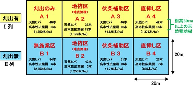 試験地における区画設定