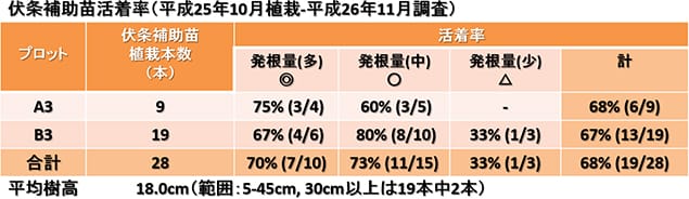 伏条補助の活着率