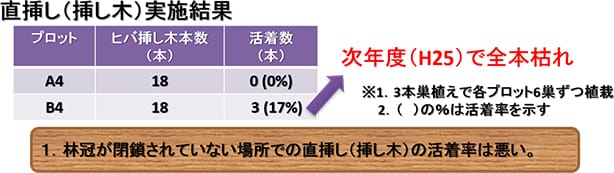 直挿しの実施結果