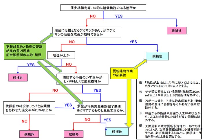 フローチャート(仮説版)の改善点