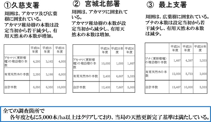 調査個所の伐採時の林況とその後の調査結果