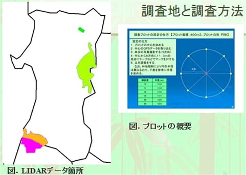 調査地と調査方法