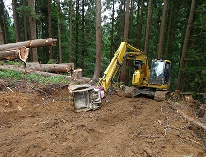 作業道に全木集材し、枝払い、造材１