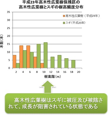 高木性広葉樹とスギの樹高頻度分布(平成23年)