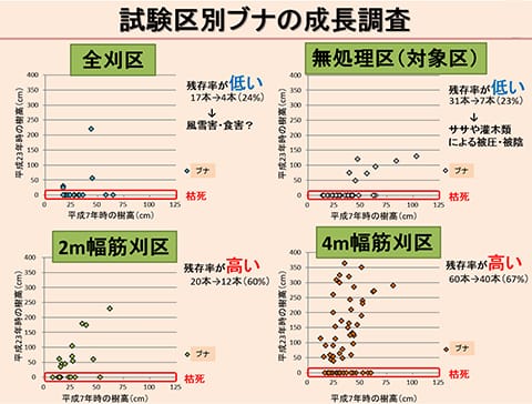 刈出し方法別の稚樹残存率の状況