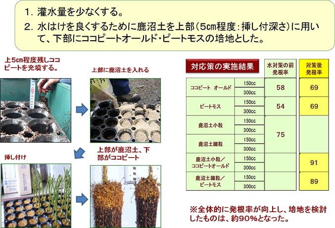 発根率を高めるための取組