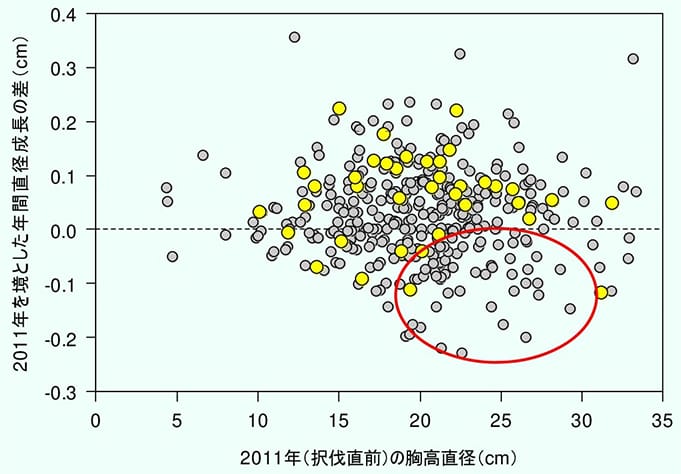 間伐率別の単木材積増加量