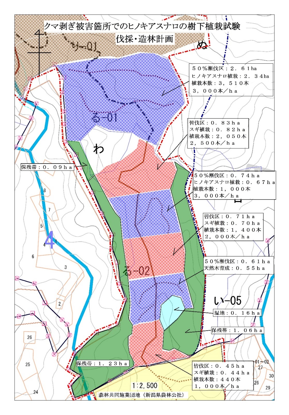 図1 スギ、ヒノキアスナロ2段林造成地見取図