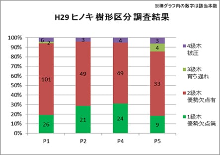 プロット(混交割合)別ヒノキ樹形区分調査結果