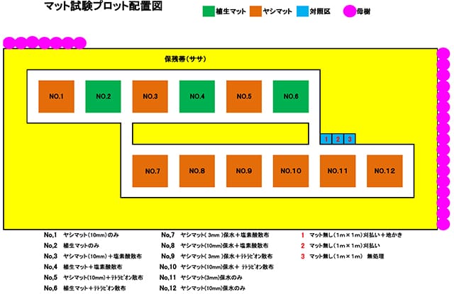 マット試験プロット配置図