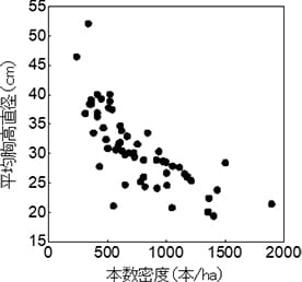 本数密度と平均胸高直径の関係(ヒノキ)