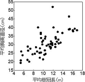 平均樹冠長と平均胸高直径の関係(ヒノキ)