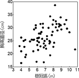 樹冠長と胸高直径の関係(ヒノキ)