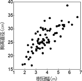 樹幹幅と胸高直径の関係(ヒノキ)