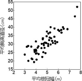 平均樹冠幅と平均胸高直径の関係(ヒノキ)