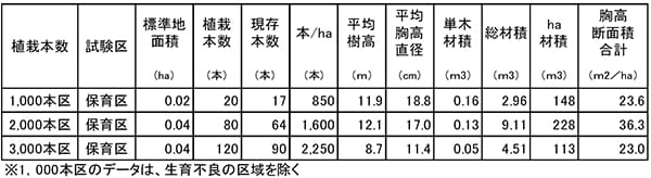 植栽密度別試験地の林分状況比較