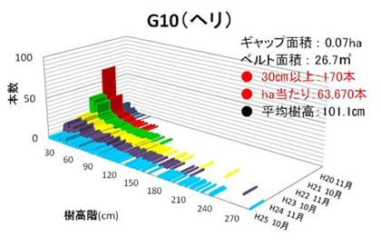 ヘリギャップG10の稚樹成立本数(樹高階)