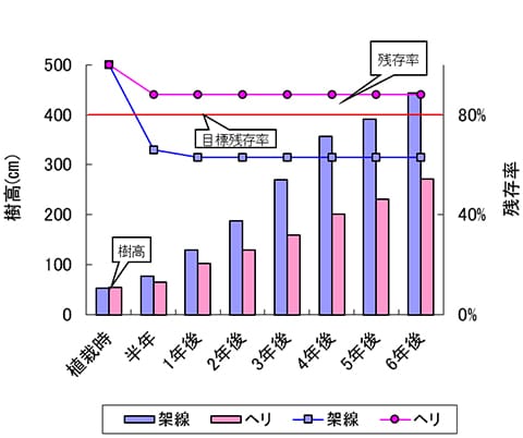 ギャップ別平均樹高及び残存率の推移