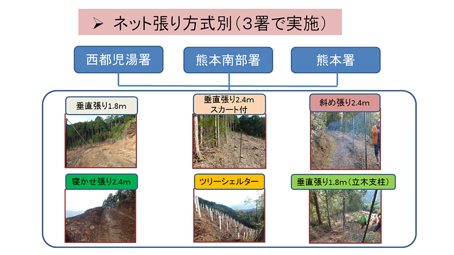 シカネット別効果等試験実施体制