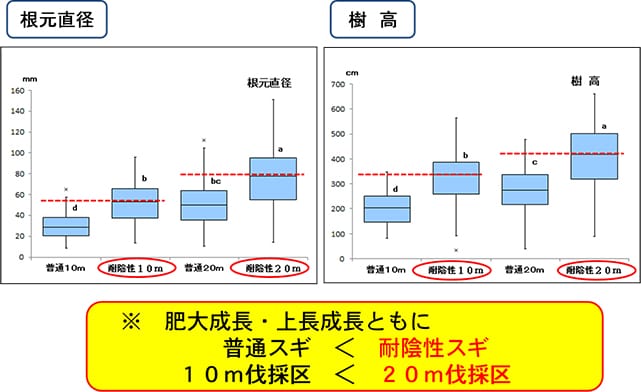 品種・系統及び伐採幅別成長量