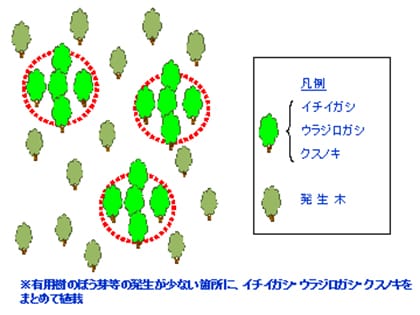 巣植区の植栽イメージ