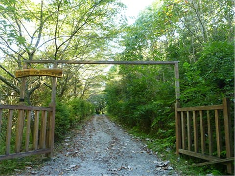 試験地(展示林)の状況