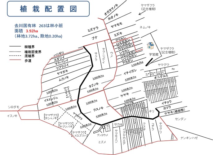 試験地(展示林)の植栽配置図